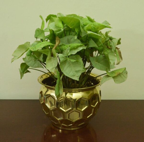 Diamond Cut Brass Planter || Table Top Planter || Plant Container|| Flower Pot for Indoor/Outdoor Plant & Home Decor- Diameter-8 inch