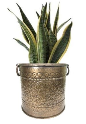 Antique Brass Planter – Embossed Metal Flower Pot for Indoor/Outdoor Décor
